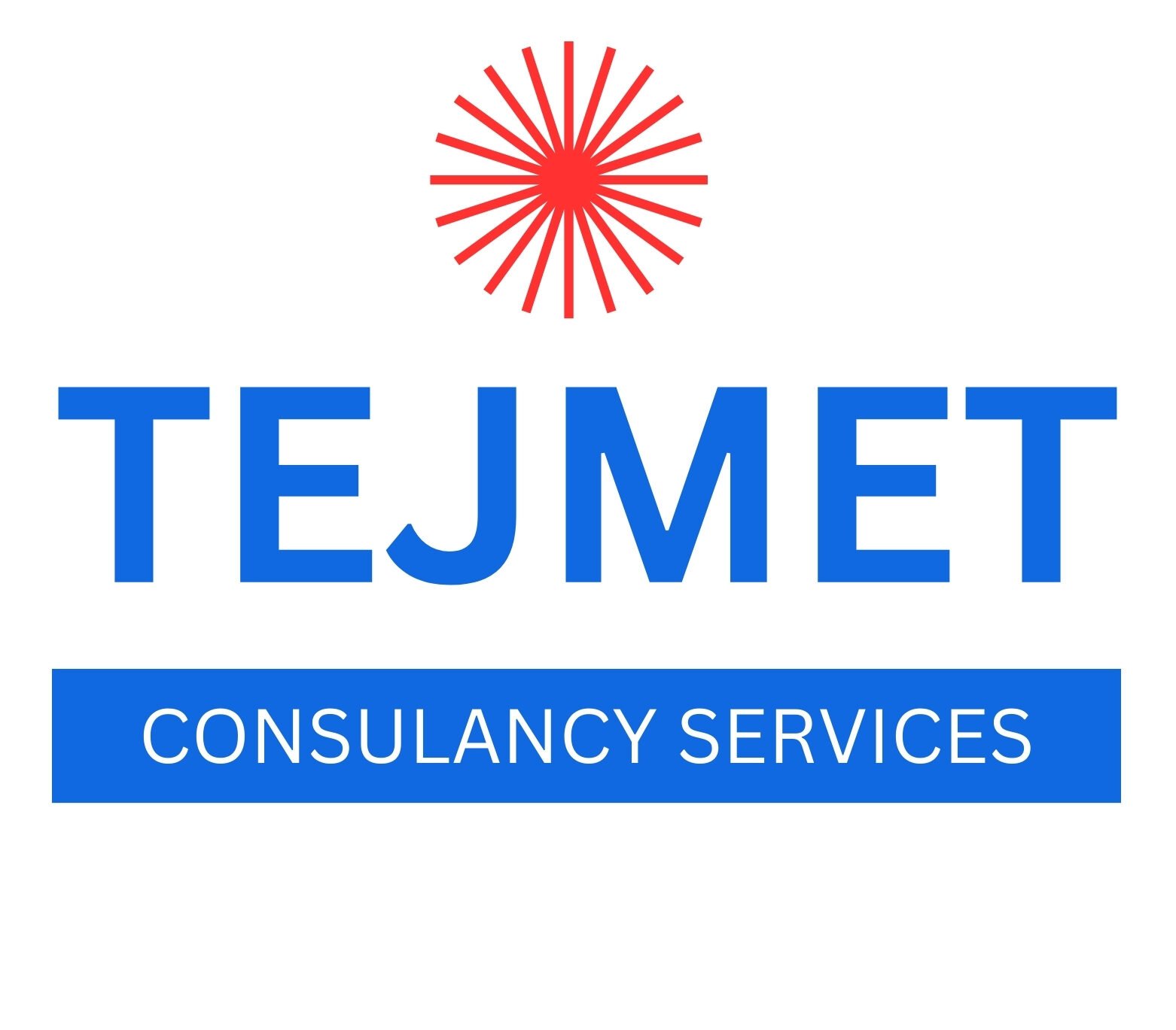 tejmet.com